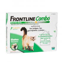 Frontline Combo Gatos 6 Pipetas