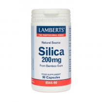 Lamberts Silicio 200mg 90 Comprimidos