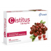 Uriach Cistitus 15 Comprimidos